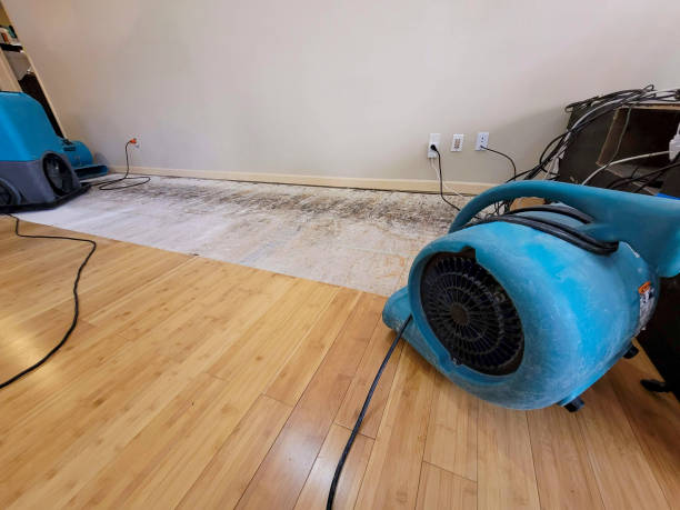 Professional Basement Flood Cleanup technician working in Amity, OR